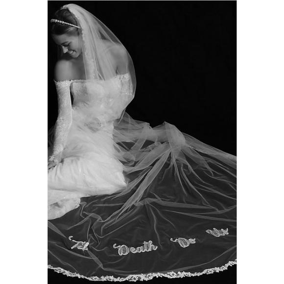 David's Bridal Accessories - til death do us part applique cathedral veil